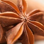 Anice Stellato Co2 BIO