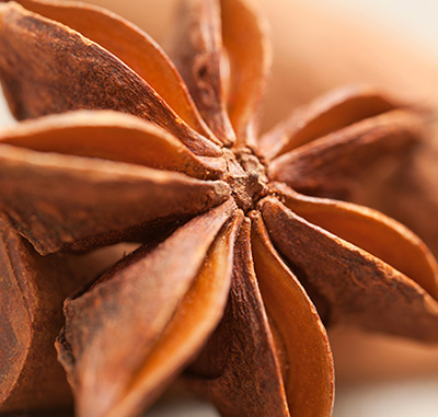 Star-Anise-CO2 Anice Stellato Co2 BIO - immagine 1