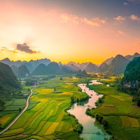 Bo-Quan Oud Selvatico