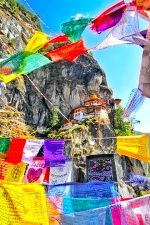 Wild Bhutan Oud One Million