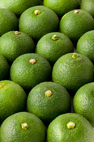 Naoshichi-essential-oil (1) Olio Essenziale di Naoshichi (Citrus takuma-sudachi hort) - immagine 1