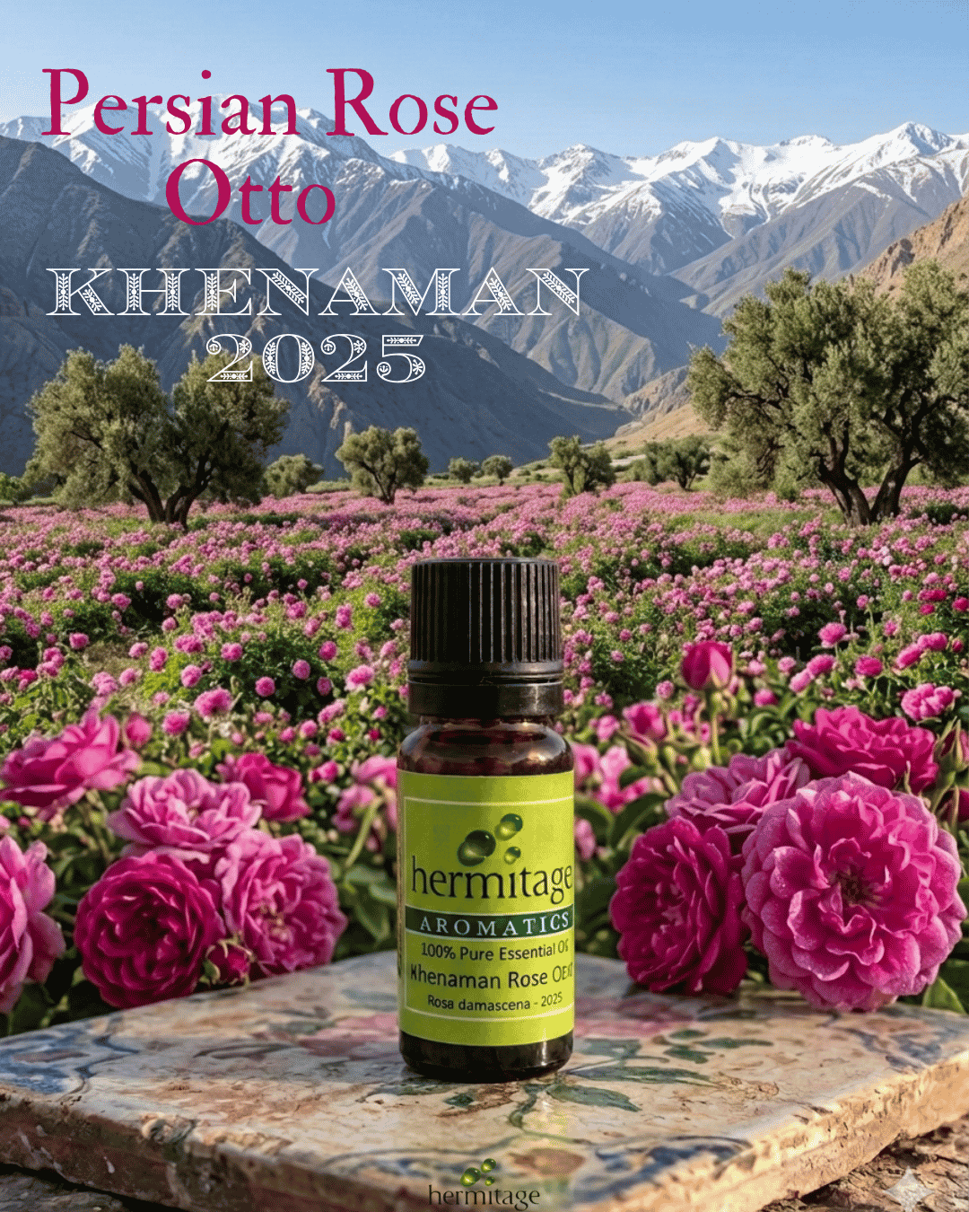 Rosa-Deco Rosa Persiana (Otto) Olio Essenziale – Khenaman (Stagione 2025) - immagine 1